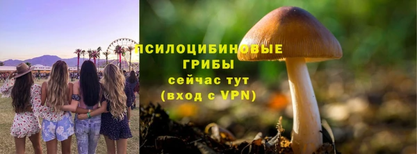 mdpv Горняк