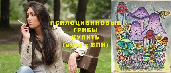 spice Вязники