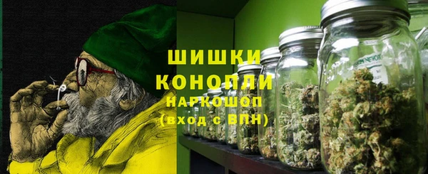 ПСИЛОЦИБИНОВЫЕ ГРИБЫ Вяземский