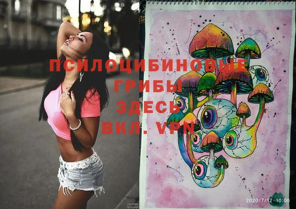 mdpv Горняк