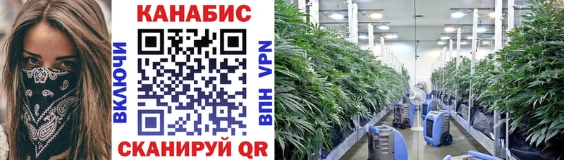 MEGA как зайти  Заинск  Марихуана OG Kush 